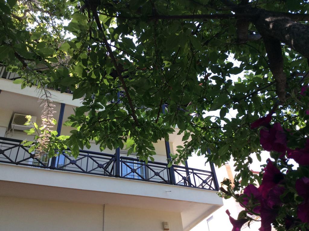 Hotel Morfeas Platamonas Ngoại thất bức ảnh