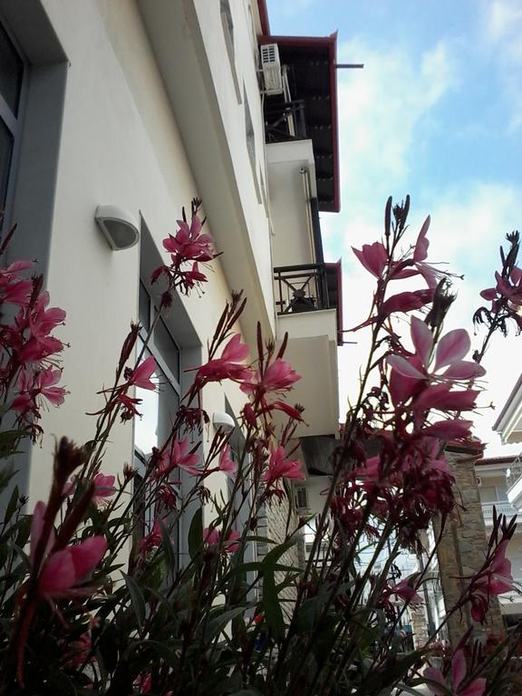 Hotel Morfeas Platamonas Ngoại thất bức ảnh
