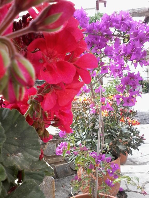 Hotel Morfeas Platamonas Ngoại thất bức ảnh