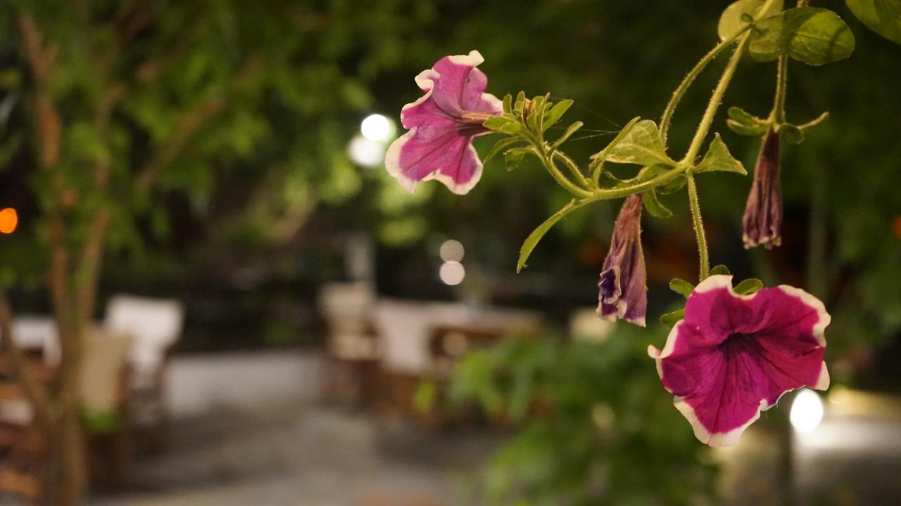 Hotel Morfeas Platamonas Ngoại thất bức ảnh