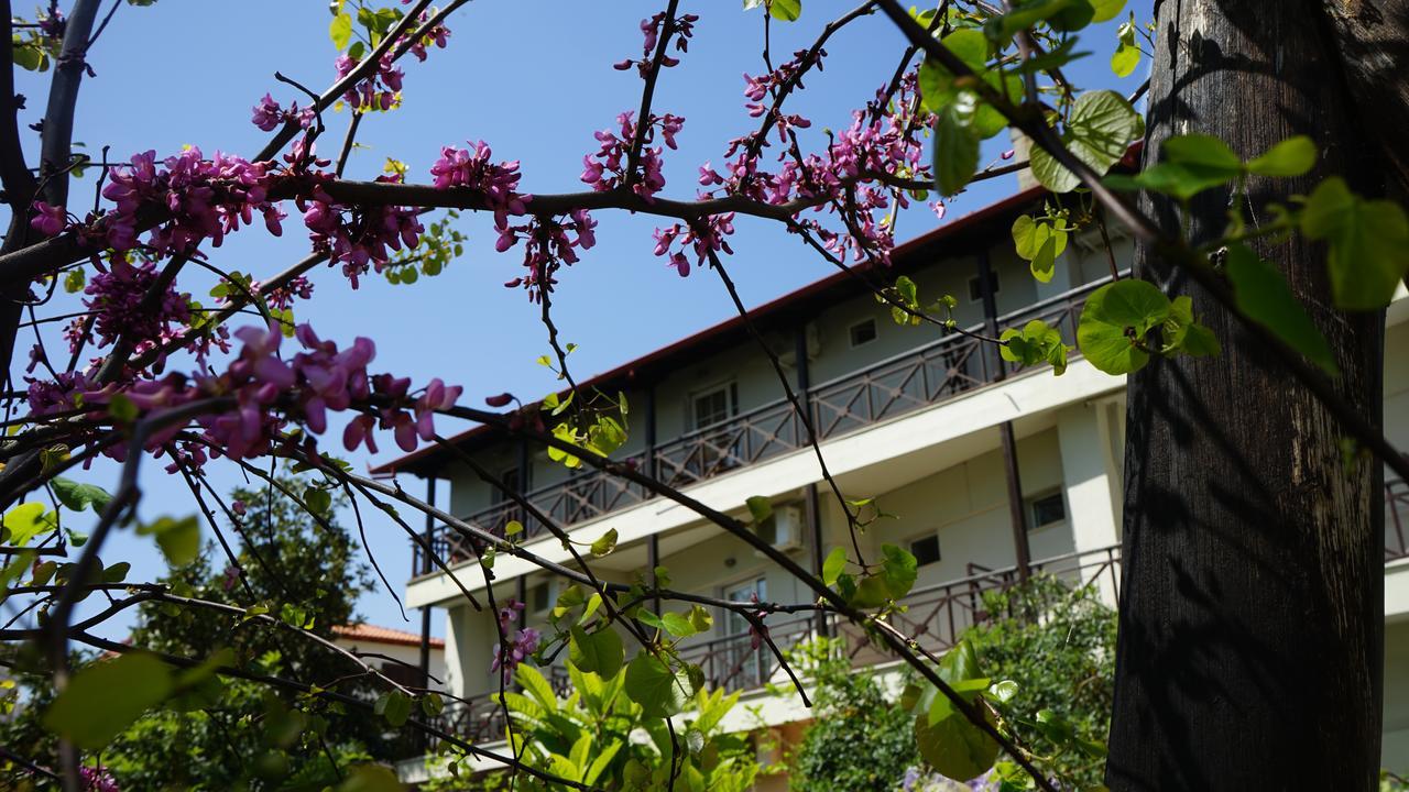 Hotel Morfeas Platamonas Ngoại thất bức ảnh