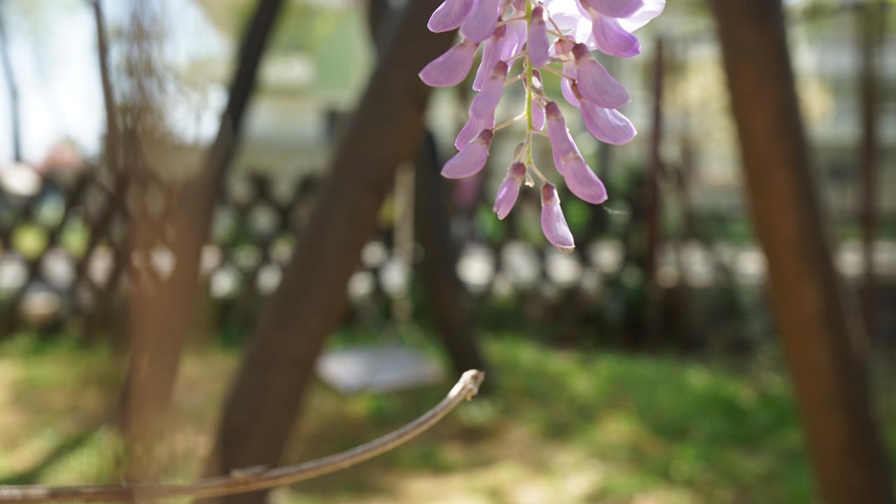 Hotel Morfeas Platamonas Ngoại thất bức ảnh